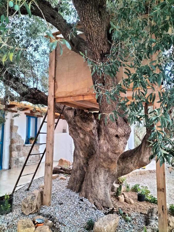 Sole In Ogliastra Bed & Breakfast Jerzu Dış mekan fotoğraf