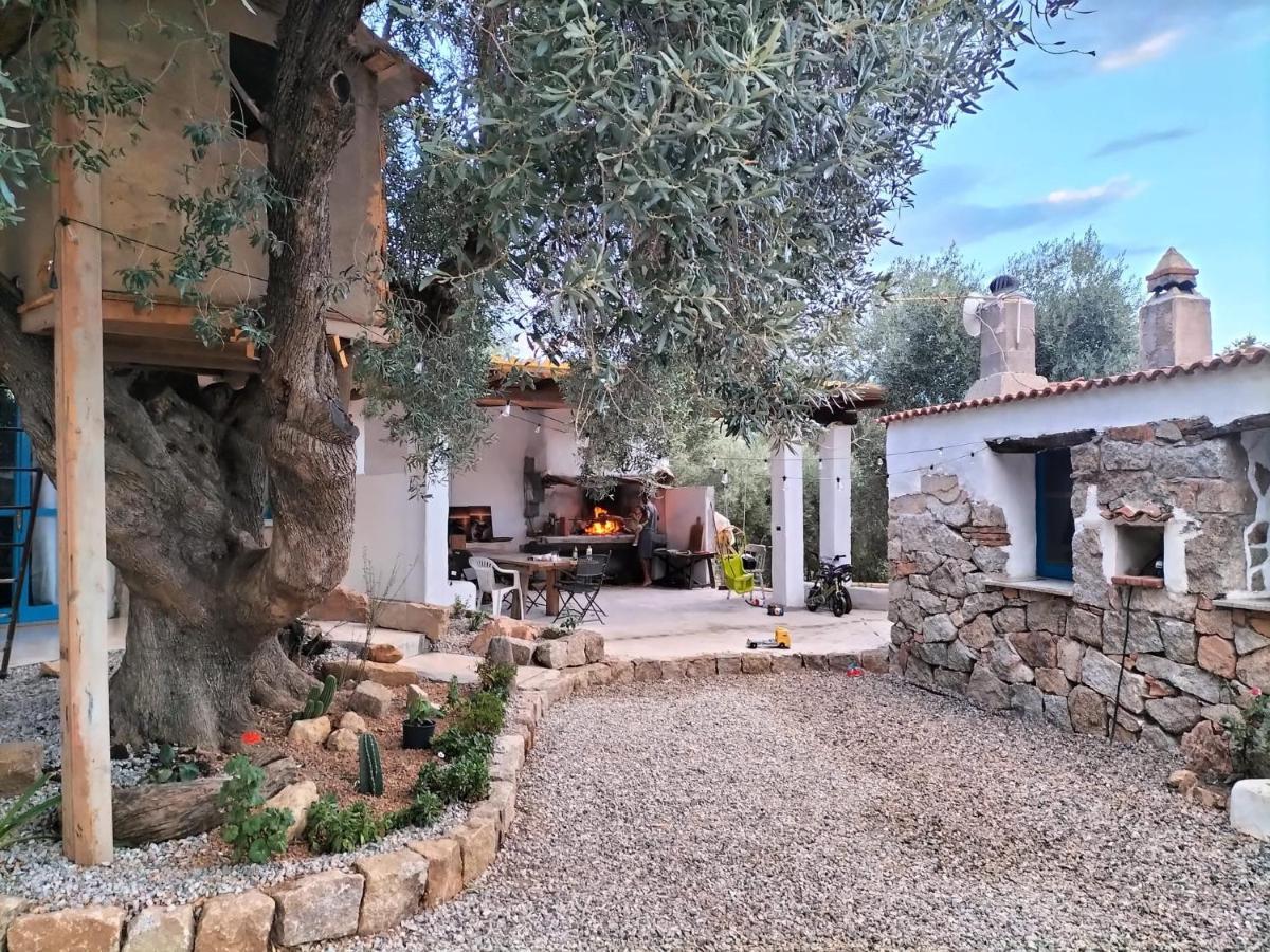 Sole In Ogliastra Bed & Breakfast Jerzu Dış mekan fotoğraf