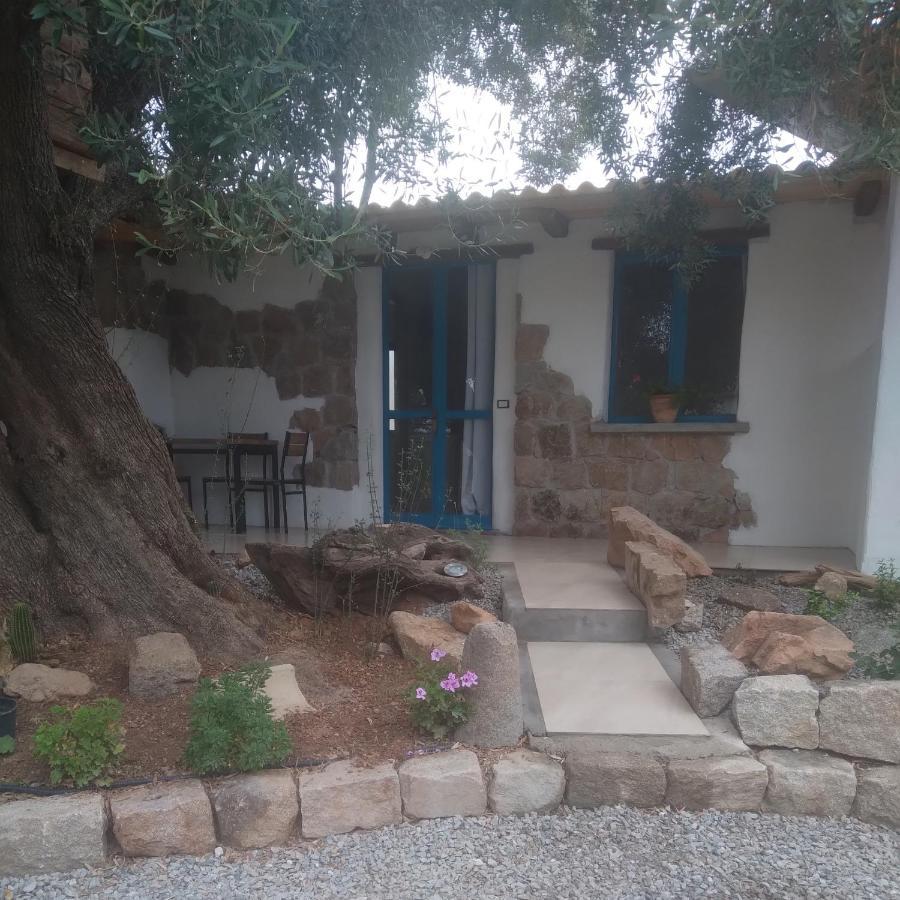 Sole In Ogliastra Bed & Breakfast Jerzu Dış mekan fotoğraf