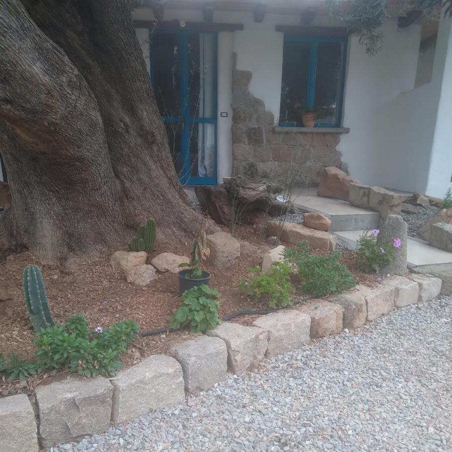 Sole In Ogliastra Bed & Breakfast Jerzu Dış mekan fotoğraf