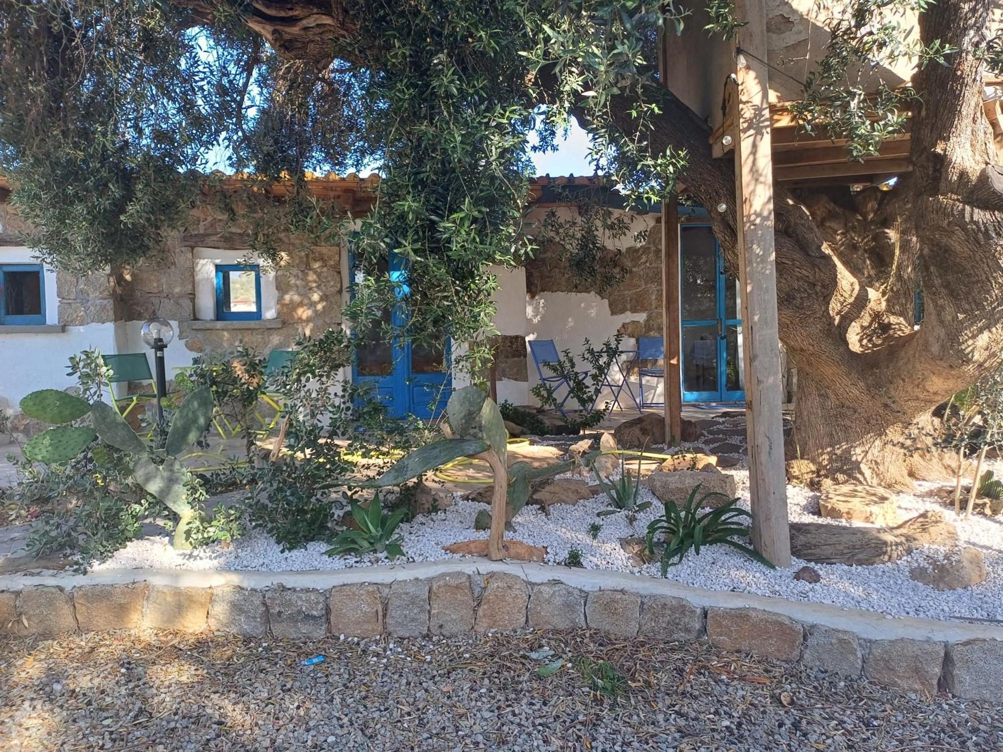 Sole In Ogliastra Bed & Breakfast Jerzu Oda fotoğraf